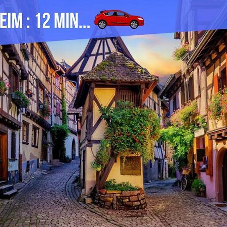 Le Blue St Leon : 2 Pieces Cozy Lit King Size Wifi Lejlighed Colmar Eksteriør billede