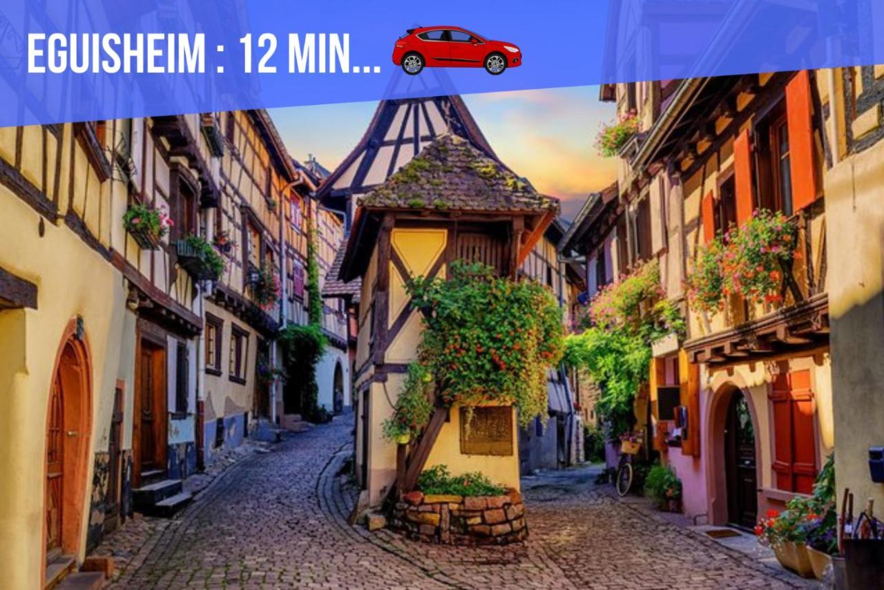 Le Blue St Leon : 2 Pieces Cozy Lit King Size Wifi Lejlighed Colmar Eksteriør billede