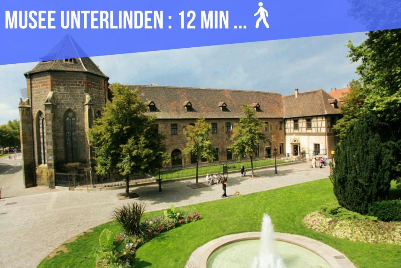 Le Blue St Leon : 2 Pieces Cozy Lit King Size Wifi Lejlighed Colmar Eksteriør billede